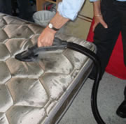 Hospitality steam cleaning for bed bugs